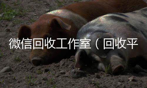微信回收工回收微信号官网作室（回收平台）